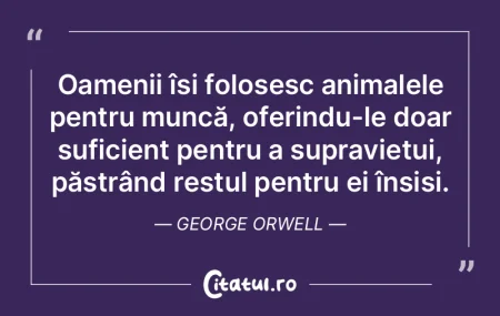 Cei care nu își examinează viața aju... Cei care nu își examinează viața aju...