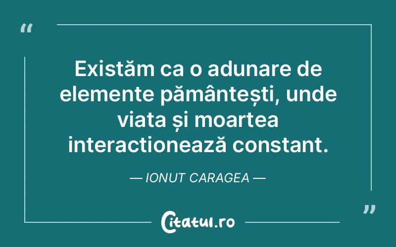 Citat Ionut Caragea - citate oameni