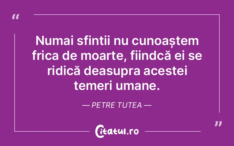 Citat Petre Tutea - citate oameni