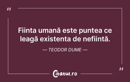 Cei care au inimi rele nu vor găsi lini...