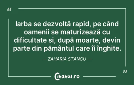 În timpul războiului, soldații din fa... În timpul războiului, soldații din fa...