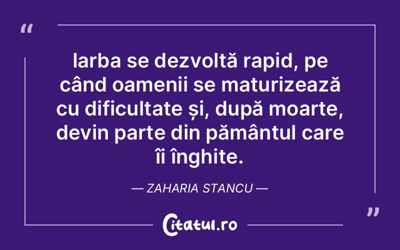 Citat Zaharia Stancu - citate oameni