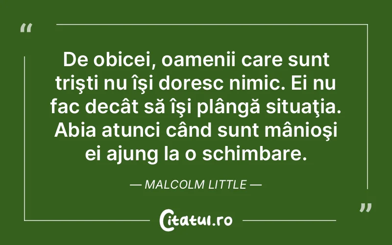 Citat Malcolm Little - citate oameni