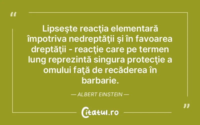 Citat Albert Ei - citate oameni