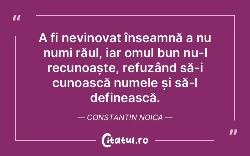 Citat Constantin Noica - citate oameni