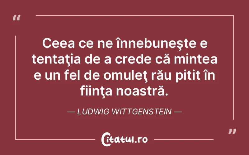 Citat Ludwig Wittgenstein - citate oameni
