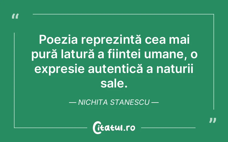 Citat Nichita Stanescu - citate oameni