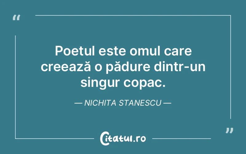 Citat Nichita Stanescu - citate oameni