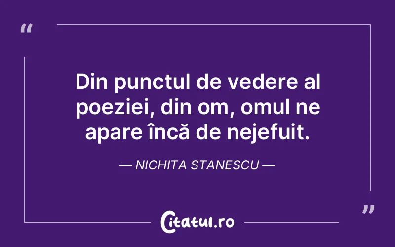 Citat Nichita Stanescu - citate oameni