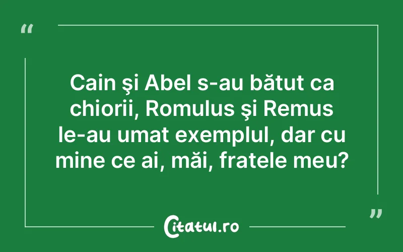 Cain şi Abel s-au bătut ca chiorii, Romulus şi Remus le-au umat exemplul, dar cu mine ce ai, măi, fratele meu?