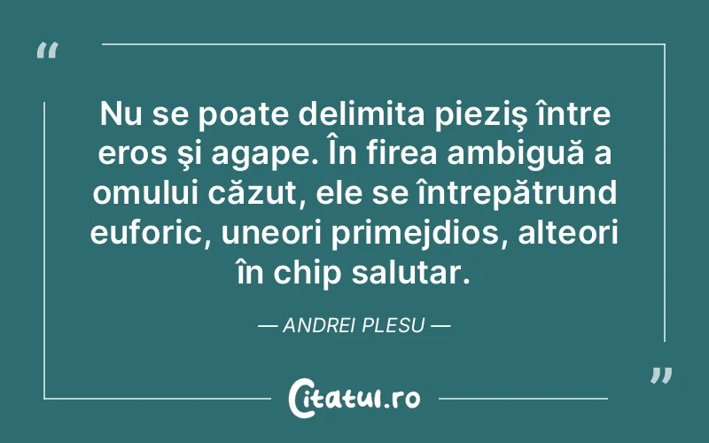 Citat Andrei Plesu - citate oameni