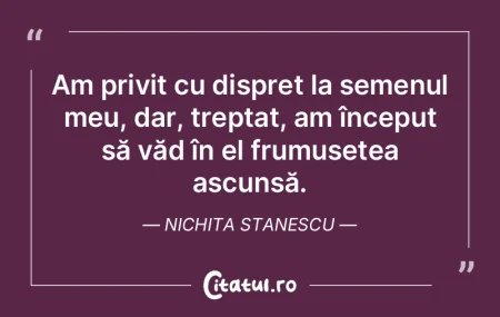 Simt o profundă nostalgie după frumos ... Simt o profundă nostalgie după frumos ...