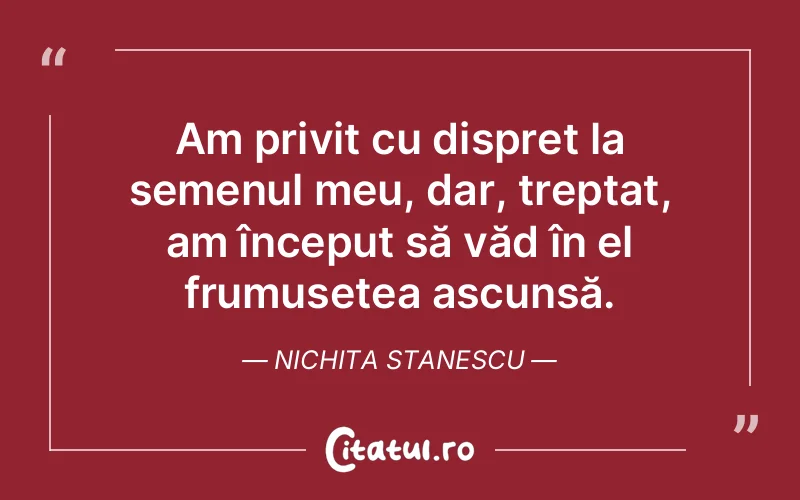 Citat Nichita Stanescu - citate oameni