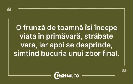 Mi se pare că singurul lucru care ne dÄ... Mi se pare că singurul lucru care ne dÄ...