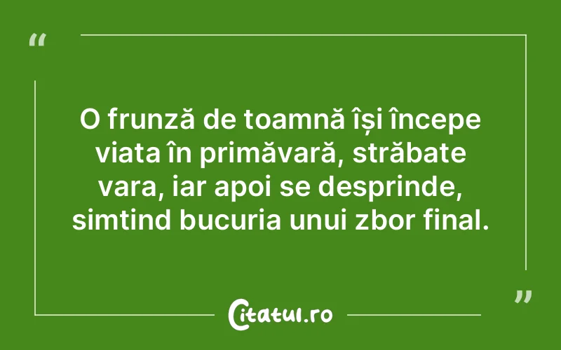 Citat Autor necunoscut - citate oameni