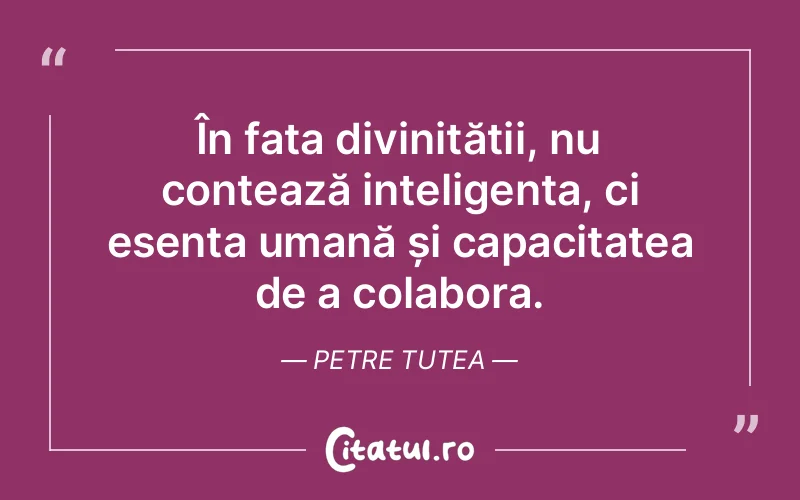 În fața divinității, nu contează inteligența, ci esența umană și capacitatea de a colabora. Petre Tutea