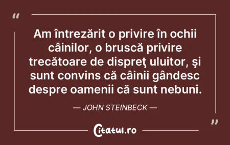 Iluzile pot reprezenta, în percepția o... Iluzile pot reprezenta, în percepția o...