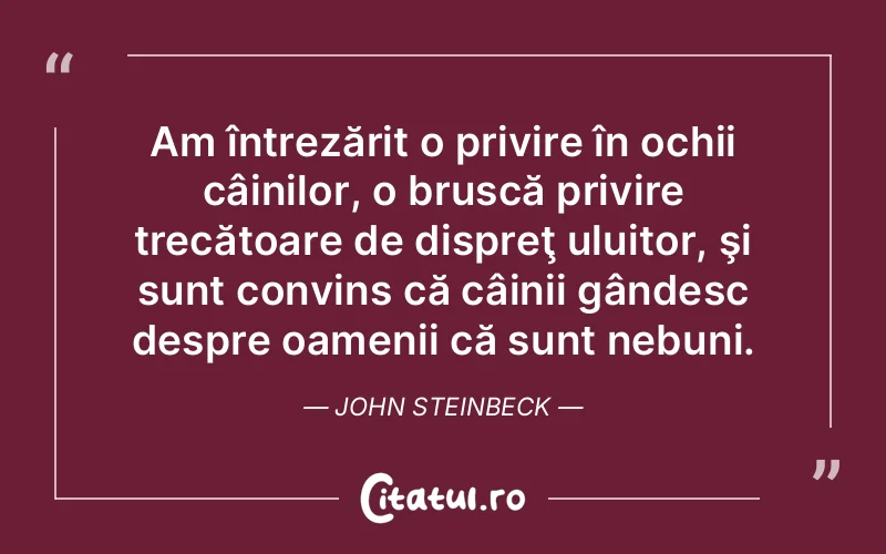 Citat John Steinbeck - citate oameni