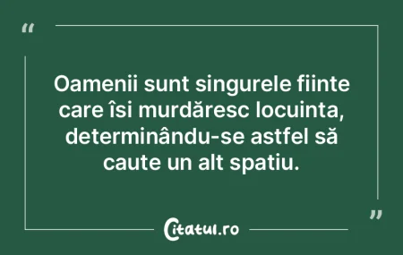 Provocările sunt esențiale pentru dezv...