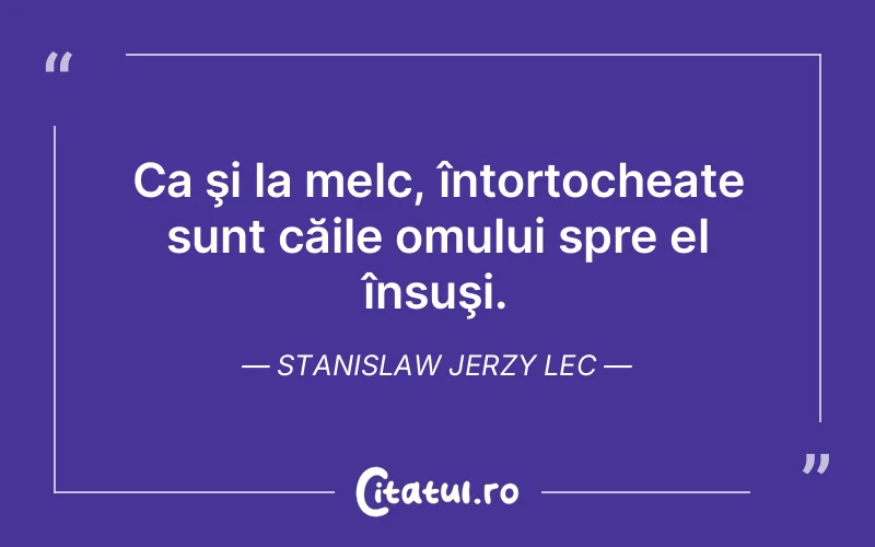 Citat Stanislaw Jerzy Lec - citate oameni