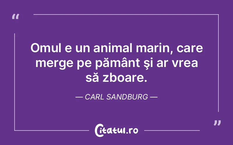 Citat Carl Sandburg - citate oameni