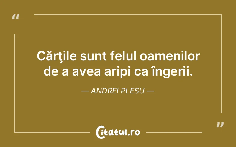 Citat Andrei Plesu - citate oameni