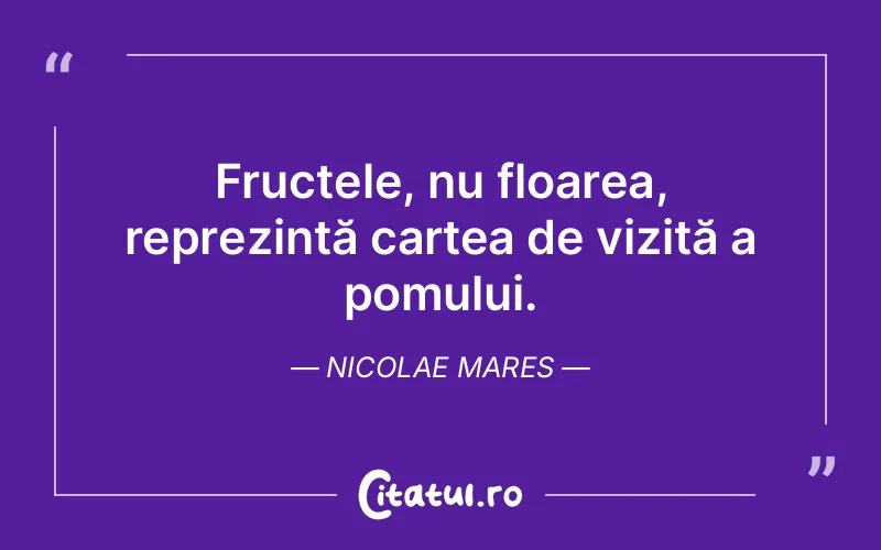 Citat Nicolae Mares - citate oameni