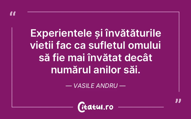 Citat Vasile Andru - citate oameni