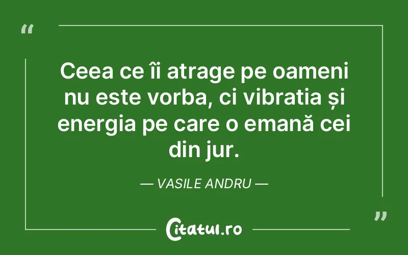 Citat Vasile Andru - citate oameni
