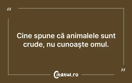 Geniul vede acolo unde omul obişnuit ni...