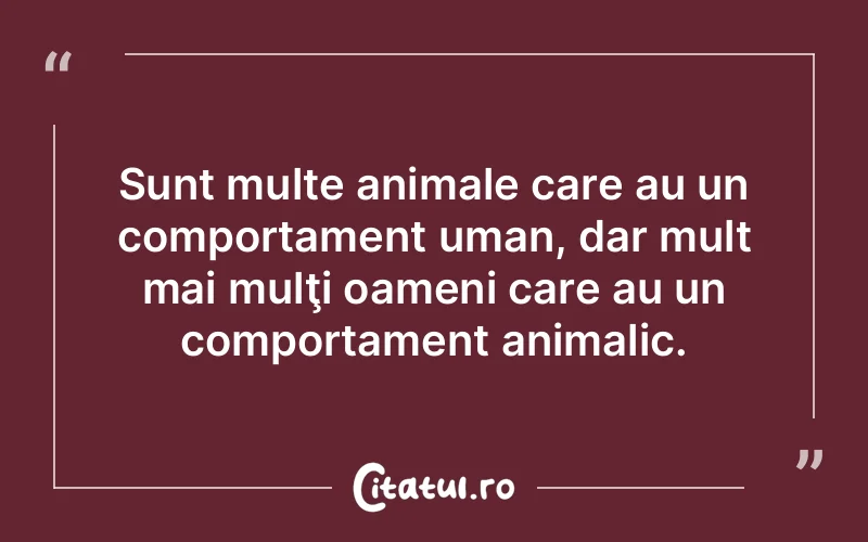 Citat Autor necunoscut - citate oameni