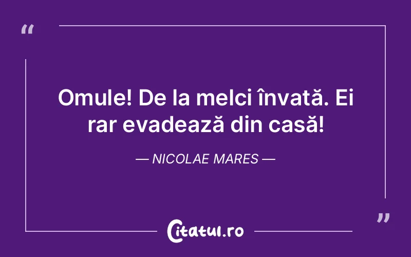 Citat Nicolae Mares - citate oameni