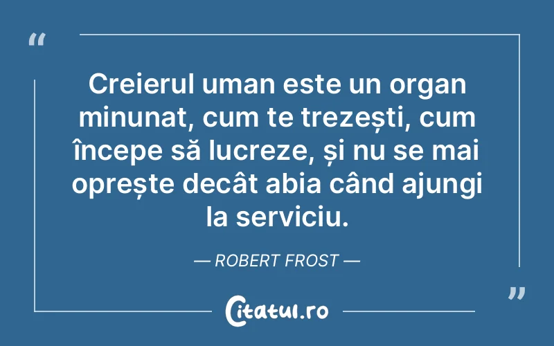 Citat Robert Frost - citate oameni