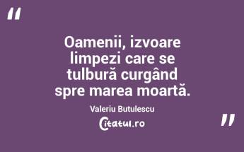 Oamenii, izvoare limpezi care se tulbură curgând spre marea moartă. Valeriu Butulescu...