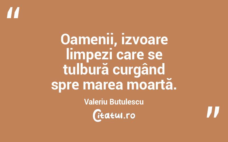 Oamenii, izvoare limpezi care se tulbură curgând spre marea moartă. Valeriu Butulescu
