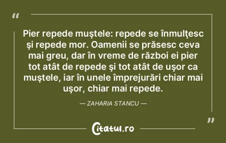 Oamenii bogaţi au televizoare mici şi ... Oamenii bogaţi au televizoare mici şi ...