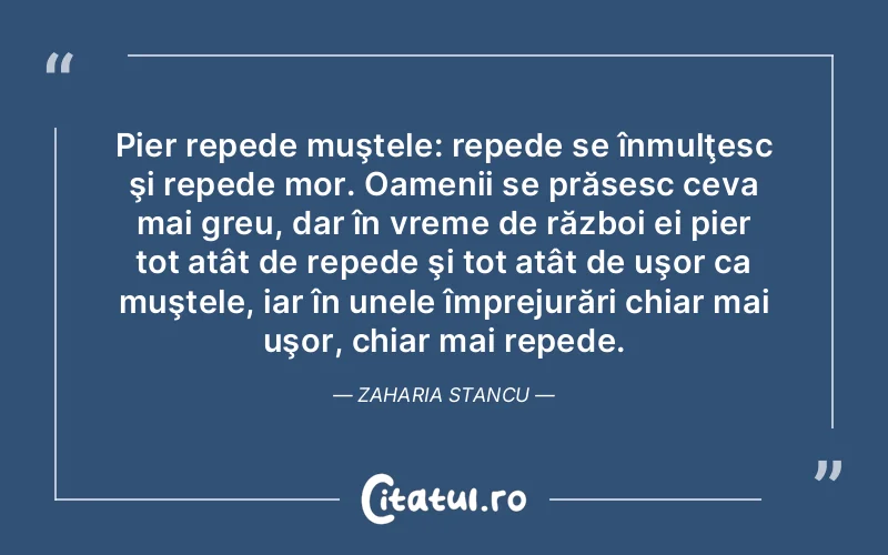Citat Autor necunoscut - citate oameni