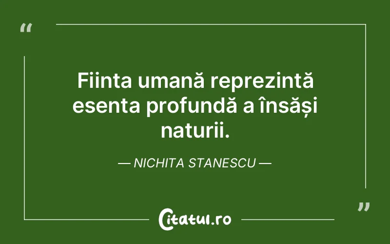 Citat Nichita Stanescu - citate oameni
