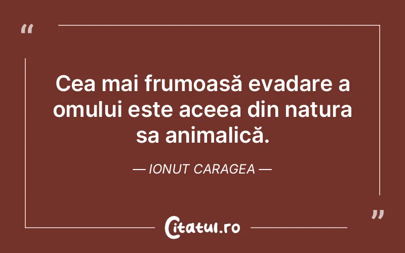 Citat Ionut Caragea - citate oameni