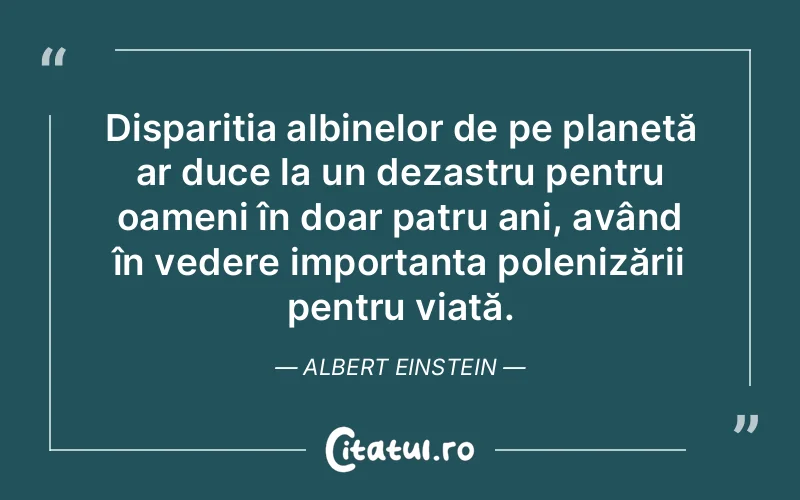 Citat Albert Einstein - citate oameni