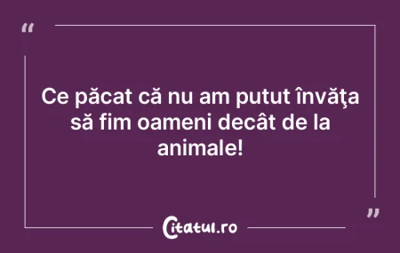 Fii autentic în nebunia ta, dar comport...