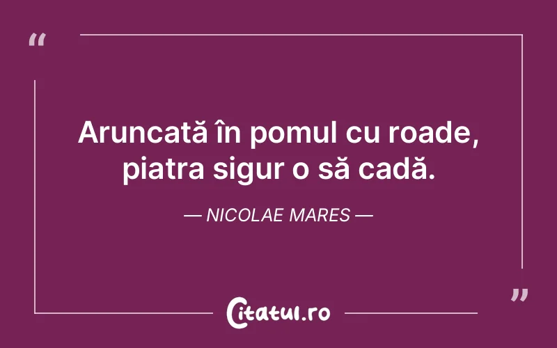 Citat Nicolae Mares - citate oameni