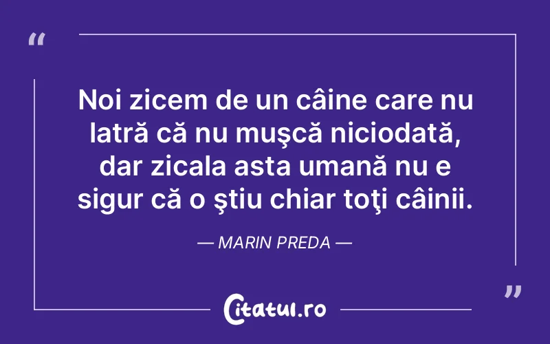 Noi zicem de un câine care nu latră că nu muşcă niciodată, dar zicala asta umană nu e sigur că o ştiu chiar toţi câinii. Marin Preda