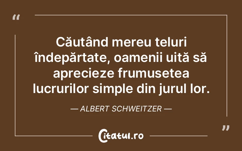 Citat Albert Schweitzer - citate oameni