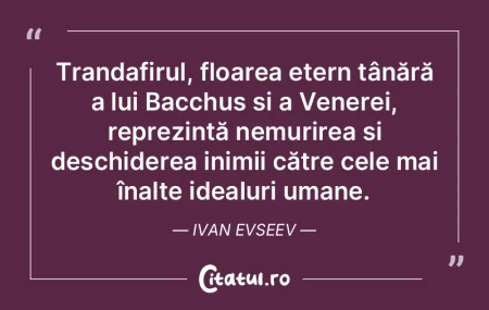 Omul care se însoară de tânăr n-are ...