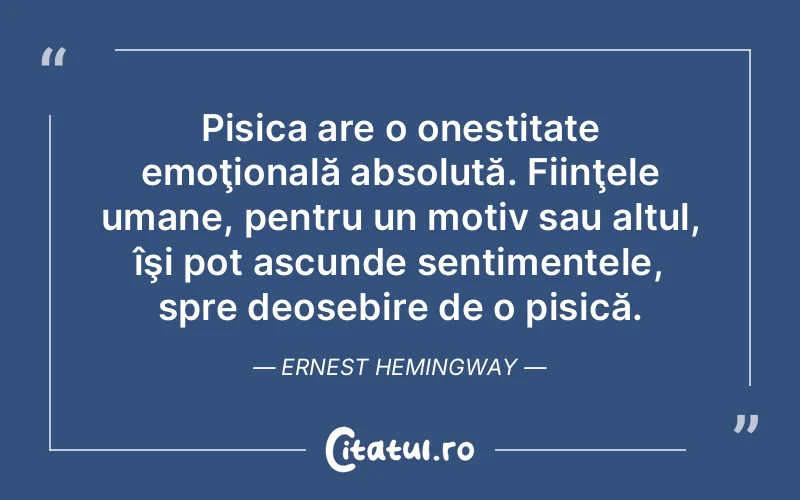Citat Ernest Hemingway - citate oameni