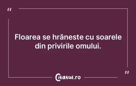 Soarele prea secetos, niciodată n-a fos...