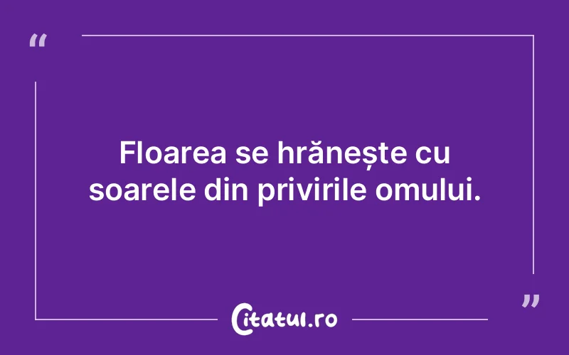 Citat Autor necunoscut - citate oameni