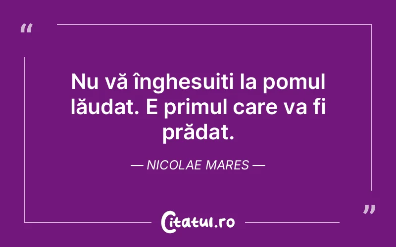 Citat Nicolae Mares - citate oameni
