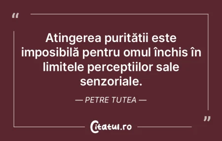 Civilizația ar putea fi văzută ca un ...
